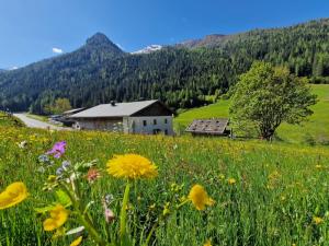 Achtgipfelhaus Valsertal Bauernhaus Valsertal